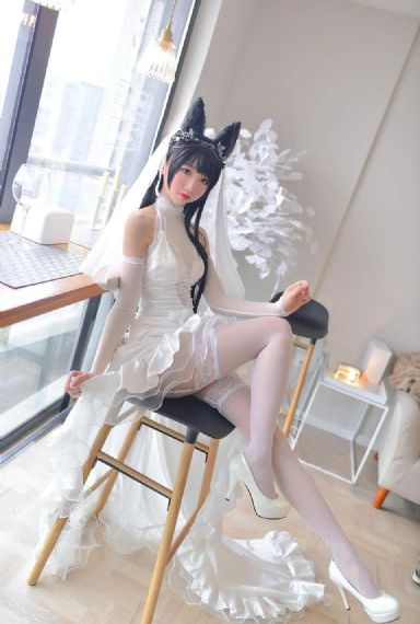 同居人是猫_BD韩语全集在线观看