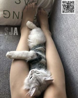 猜火车_BD迅雷电影在线