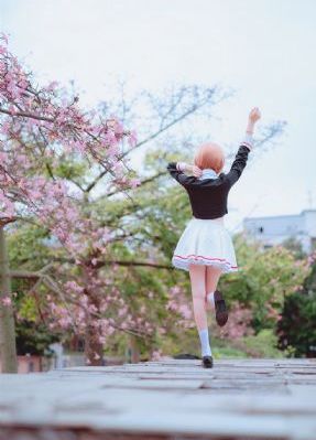 日本网站免费观看_1080手机在线看
